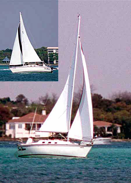 precision sailboat owners